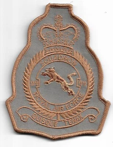 RAF PATCH 99 SQUADRON QC CREST ON VELKRO DEPLOYED ROYAL AIR FORCE SQUADRON PATCH - Picture 1 of 1