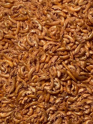 MARKENLOS Gammarus getrocknet 500 g Bachflohkrebse Reptilien Fische Koi Schildkröten