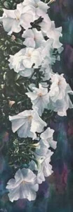 Arleta Pech - Light Cascade - S/N Lithograph - Signed - MINT - Foto 1 di 1