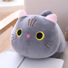 Cute 25cm Soft Cat Plush Pillow Sofa Cushion Cute Plush Toy Baby Gift Christmas