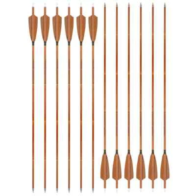 6/12pcs 31.6" Archery Spine 500 Carbon Arrow 4" Fletching with O-ring Arrows - Image 1 of 4