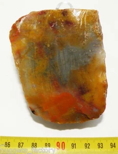 Bois Fossile ( USA - 009 ) - Imagen 1 de 3