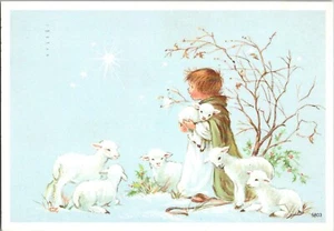 Cute Kid with Lambs Continental Postcard CA4 - Picture 1 of 2