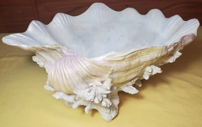 Cuenco decorativo de resina CORAL con almeja sintética para playa decoración de cabañas náuticas Foto 1 de 4