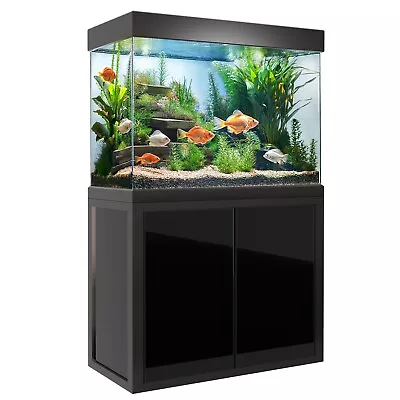 100 Gallon Black Tempered Glass Aquarium – All-in-One Complete Setup - Image 1 of 4