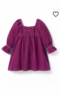 Nuevo con etiquetas Vestido Janie and Jack Terciopelo Violeta Talla 16 Foto 1 de 4