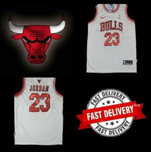 CHICAGO BULLS WHITE AND MULTI-COLOURED MICHAEL JORDAN 23 JERSEY SIZE XL - Picture 1 of 5