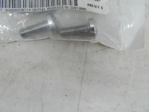 Genuine Harley Pan Head Torx Screw Qty 2 P/N: 4562 - Picture 1 of 2