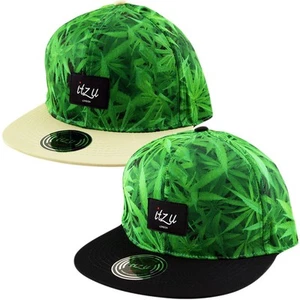 Itzu Co. 2 Tone Ganja Weed 420 Blatt DRUCKKNOPFLASCHE Kappe Mütze flache Spitze Druckknopflasche Rückseite - Bild 1 von 9