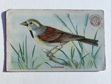 1922 Arm & Hammer Useful Birds of America 3rd series YOU PICK from 21 cards