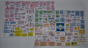 AQA GCSE Combined Science Trilogy Physics Mind Maps Laminated A3 - Picture 1 of 1