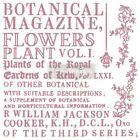 Botanical Encyclopdia Redesign With Prima Clear Cling Stamp