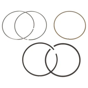 Juego de anillos de pistón Briggs & Stratton genuinos (estándar) - 795690 - Imagen 1 de 1