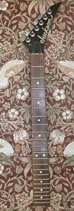 Jackson 22 Bünde E-Gitarrenhals - Bild 1 von 12