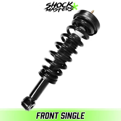 Front Complete Strut Assembly Single for 2009-2013 Ford F-150 RWD Foto 1 de 2