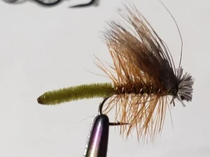 12 Extended Bodied Elk Hair Caddis Dry Fly Olive - Picture 1 of 1