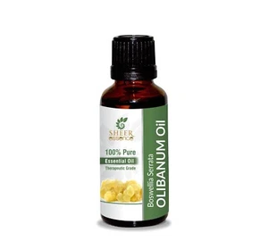 Olibanum Oil, 100% Pure Undiluted Uncut Natural Essential Oil 5ML TO 1000ML - Picture 1 of 9