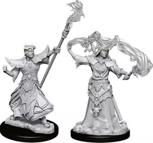 Pathfinder Deep Cuts Unpainted Miniatures: W11 Male Human Sorcerer - Picture 1 of 1