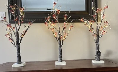 Everlasting Glow 24" LED LIGHTED SNOWY RED BERRY TREE With Timer feature - Image 1 of 4