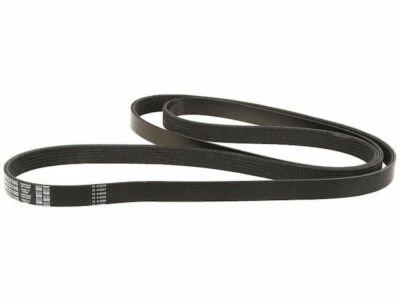 Cinturón multi costilla Dayco 69967FV 1997 1998 1999 2000 1996-2008 GMC Savana 1500 Foto 1 de 2