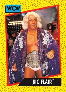 1991 Impel WCW #44 Ric Flair Wrestling Card NM-MT Nature Boy Woooo!!! ID:35440 - Bild 1 von 2