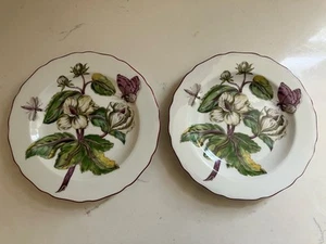 Mottahedeh 2 Placas Chelsea Botánicas 8.25" Vista Alegre Sir Hans Sloane COMO NUEVAS - Imagen 1 de 4