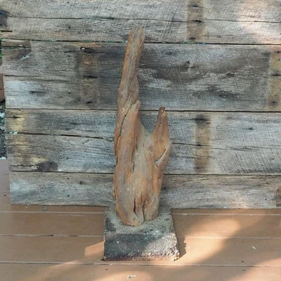 Driftwood All Natural Mounted On Corkboard Base For Taxidermy - Image 1 of 4