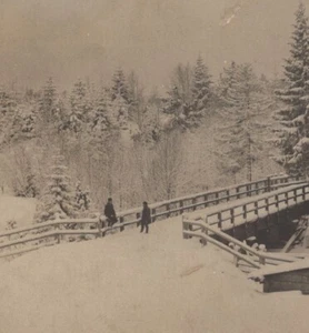 RPPC 1910s Log Bridge Snowy Woods Cabin Construction Trees Winter Scene - Picture 1 of 3