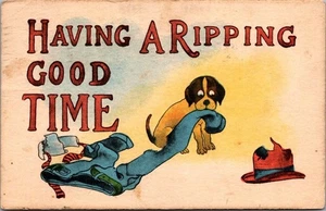 Tener un buen momento rasgando ropa para masticar cachorro humor animal c1913 postal - Imagen 1 de 2