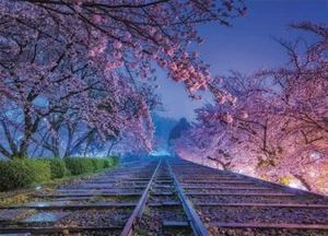 500Pcs Jigsaw Puzzle KAGAYA Dream Trajectory 38x53cm - Picture 1 of 4