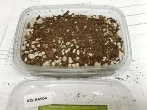 Reality In Scale Stony Ground (155ml) - Bild 1 von 1