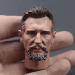 1/6 Scale Liam Neeson Ninja Master US Actor Head Sculpt Model Toys - Picture 1 of 3
