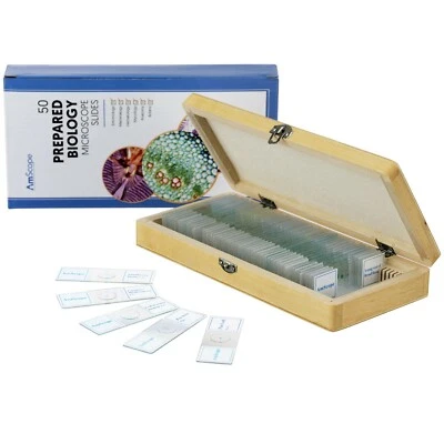 AmScope PS50 50 piece Prepared Microscope Glass Slides for Biology Science