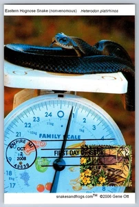 #4356d Great Lakes Dunes Hognose Snake FDC Maxi Card - Picture 1 of 2