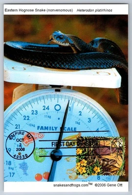 #4356d Great Lakes Dunes Hognose Snake FDC Maxi Card - Image 1 of 2