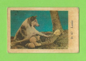 1961 Dutch Gum Card D #67 Lassie