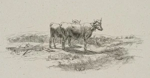 Zwei Kühe mit Pflug auf einem Feld, Radierung Romantik Unbekannt (19.Jhd) - Picture 1 of 4