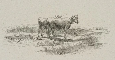 Zwei Kühe mit Pflug auf einem Feld, Radierung Romantik Unbekannt (19.Jhd) - Bild 1 von 4