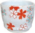 Guinomi Arita yaki ware Japanese pottery Sake Cup Aka-e Cherry pattern Japan new