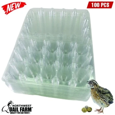 NWQUAILFARM.COM Jumbo Quail Egg Cartons 15 Cell (3x5) 100pcs - Secure Snap Close, Fast Shipping