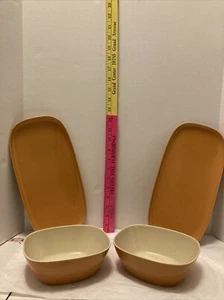 Pier 1 Plastic Pumpkin Colored Oblong Snack Platters and Bowls (2 & 2) - Picture 1 of 10