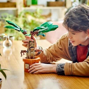 Lego Harry Potter 76433 Mandrake - Picture 1 of 7