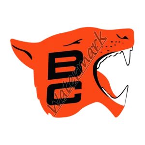 Vintage CFL 1967 B.C. Lions Vinyl Sticker Decal NEW - Picture 1 of 5