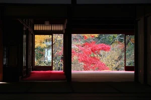 Autumn leaves seen from Tenjuan Kuri Daishoin, Kyoto Japan Photo Reprint - Picture 1 of 1