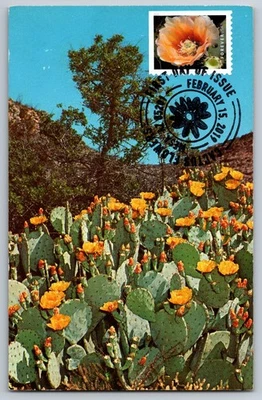 #5350 Cactus Flowers Prickly Pear Cactus FDC Maxi Card w/Pictorial Cancel - Image 1 of 2