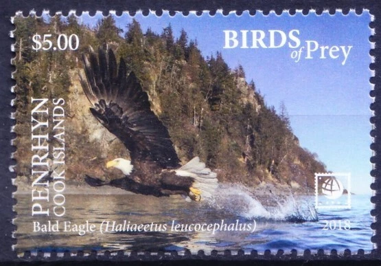 Penrhyn 2018 MNH, Birds of Prey, Bald Eagle, Falcons - Image 1 of 1