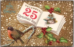 Vintage 1910s MERRY CHRISTMAS Embosses Postcard Robin Bird on Branch / Holly - Picture 1 of 2