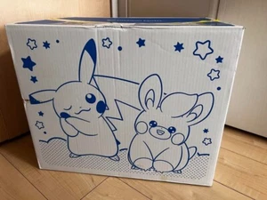 Pokemon Pikapika Box 2025 New Year's Lucky Bag Pillow Random Pokemon Center New - Picture 1 of 2