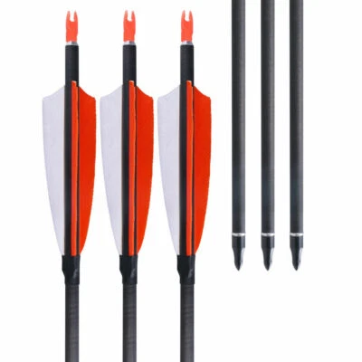 12X Hunting Carbon Arrows 32" Turkey Feathers Screw-in tips for Archery Shooting - Image 1 of 4