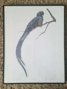 Harry Le May Signed Print "Quetzal" #38/100 11"x14" Numbered Art - Picture 1 of 10